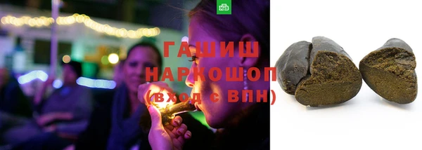 стаф Гусев