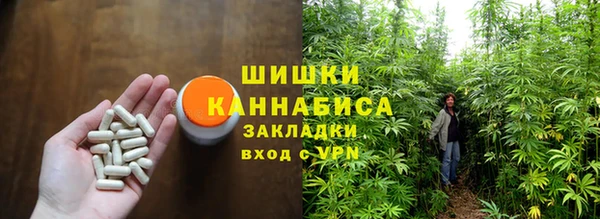 стаф Гусев