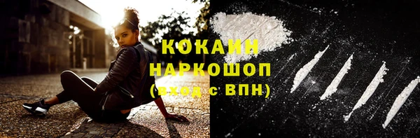 стаф Гусев