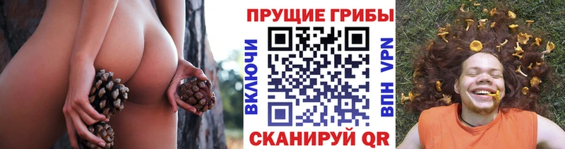 Галлюциногенные грибы GOLDEN TEACHER  наркотики  Онега 
